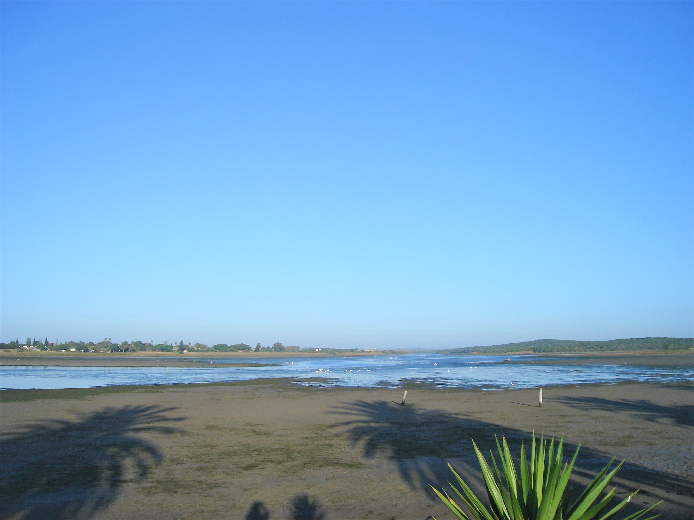 Jeffreys Bay Area Guide | Fine & Country
