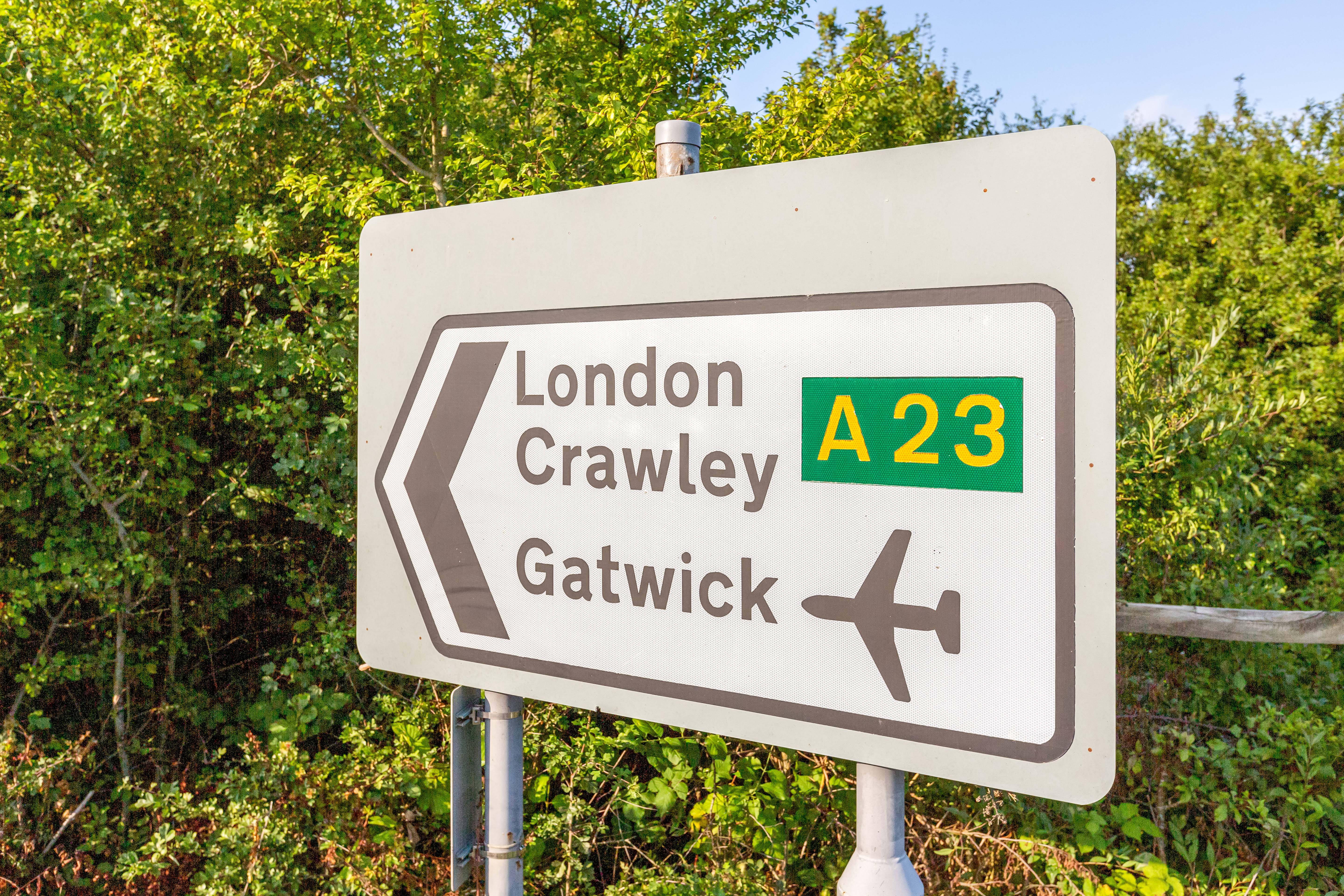 Travel Sayers common