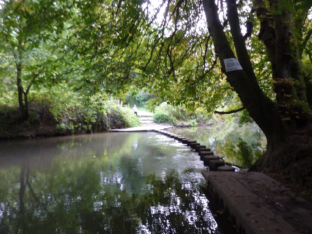 Box Hill Stepping Stones