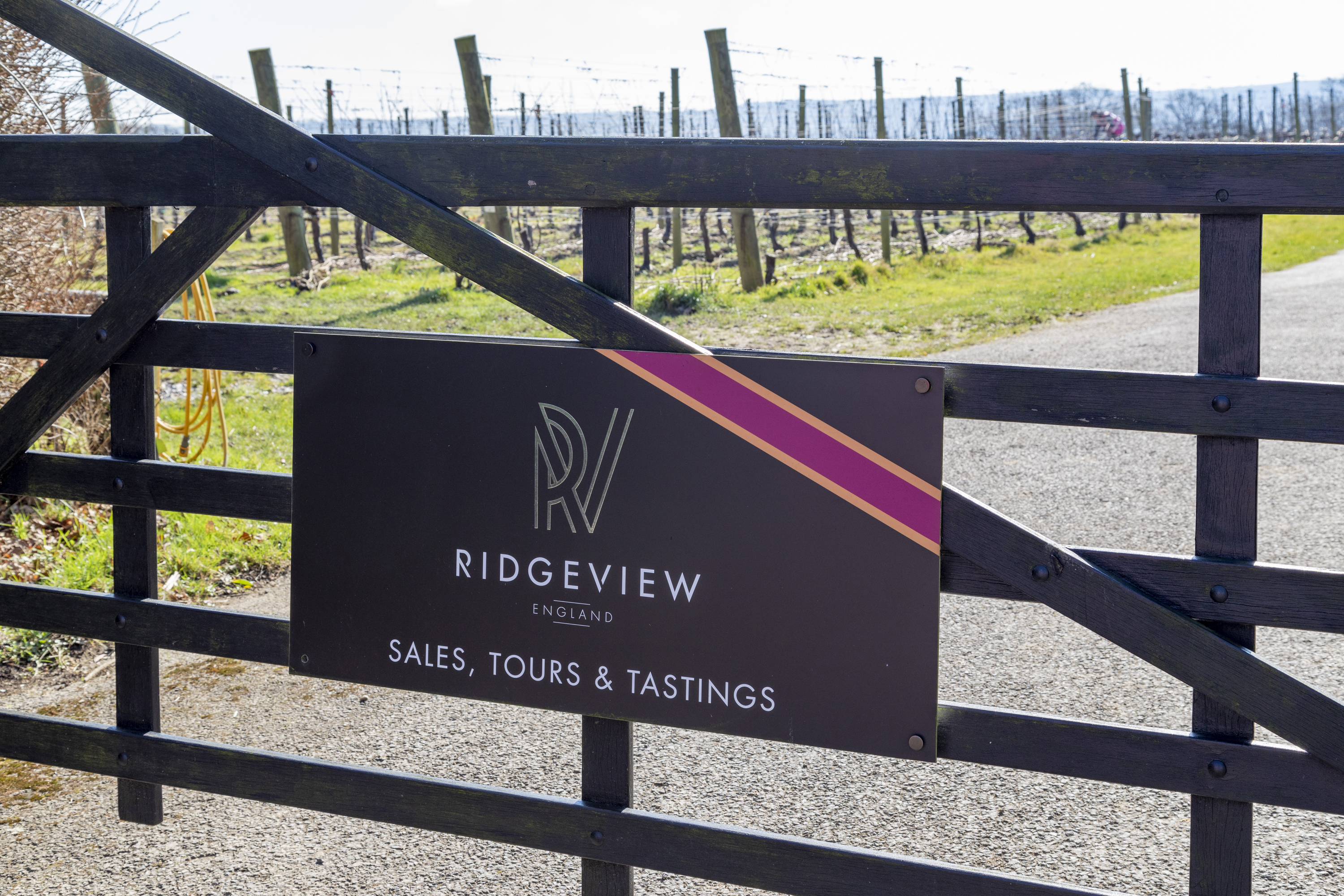 Ditchling wine tasting