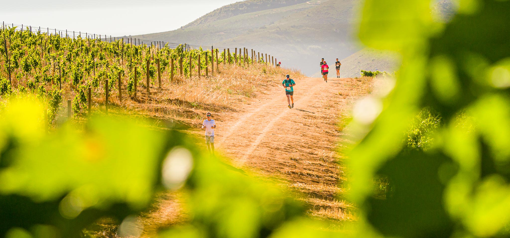 Paarl Winelands Area Guide Area Guide Fine & Country