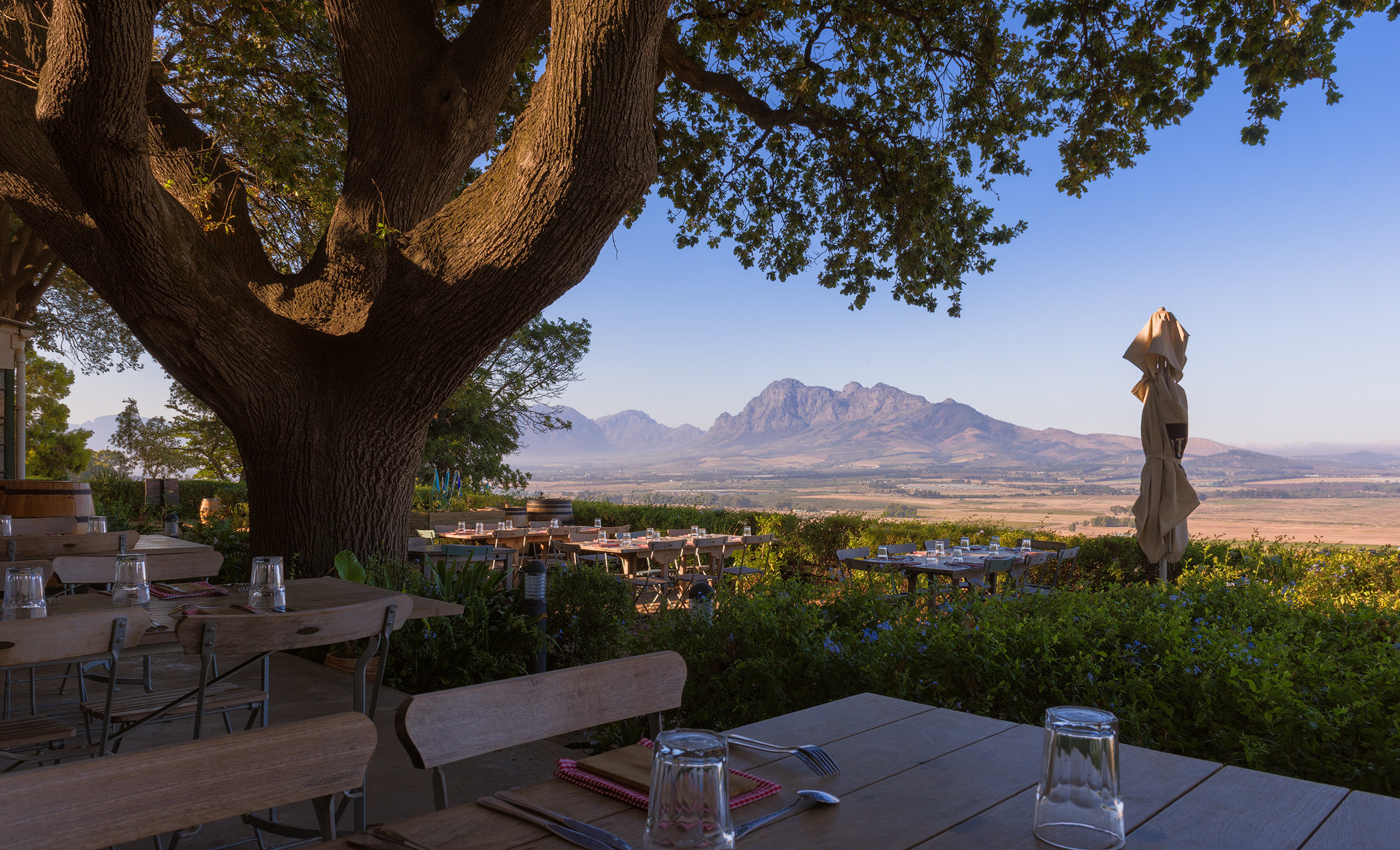 Paarl Winelands Area Guide Area Guide | Fine & Country