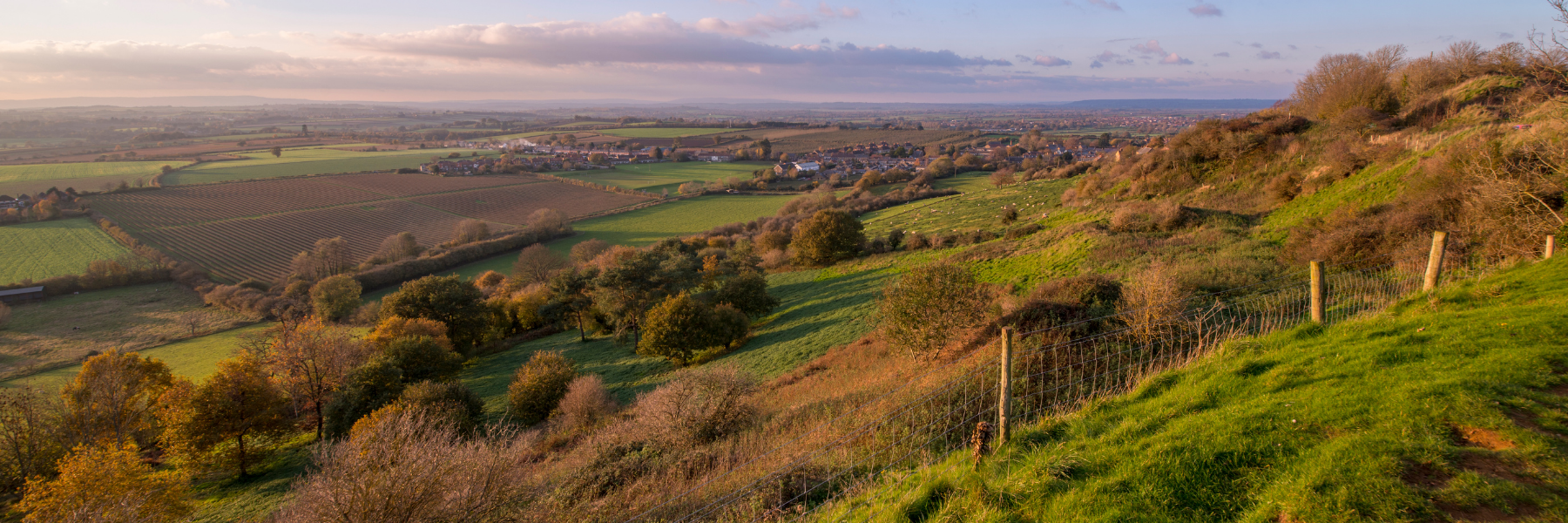 Complaints Procedure