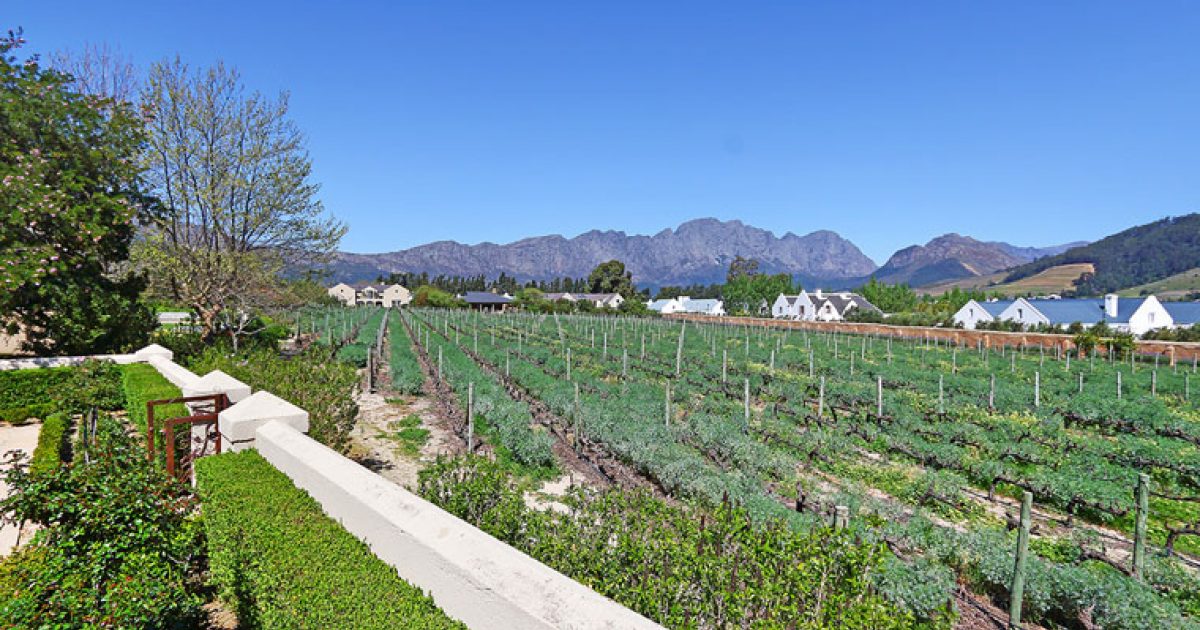 A wine lover's dream vineyards and wine cellars Fine & Country