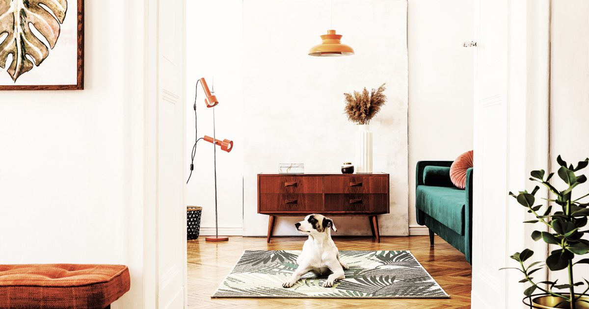 Buying Property in South Africa Fine & Country