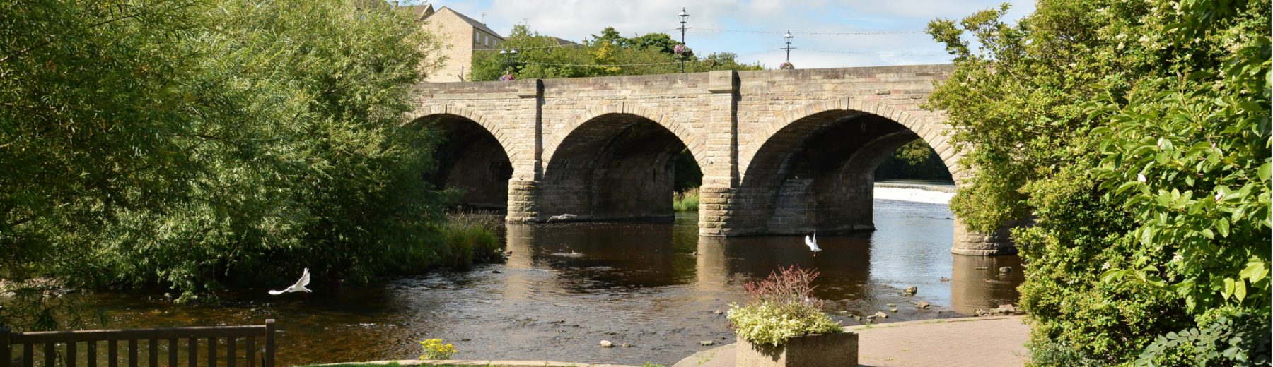 Estate Agents in Wetherby Fine & Country