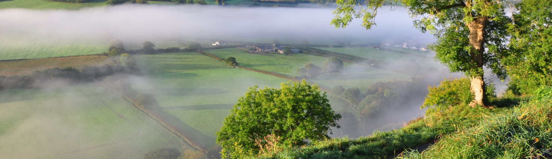 Estate Agents in Torrington Fine & Country