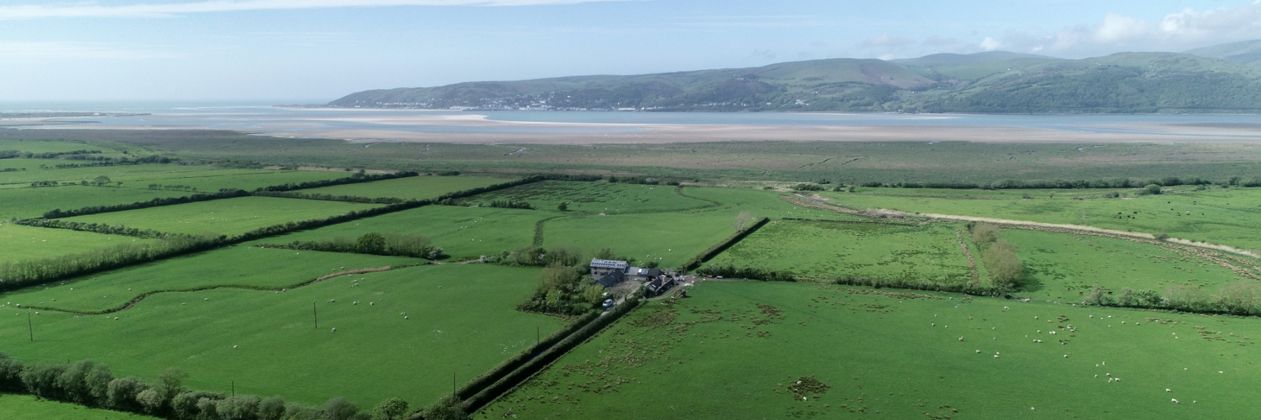 Cellan Area Guide Fine & Country