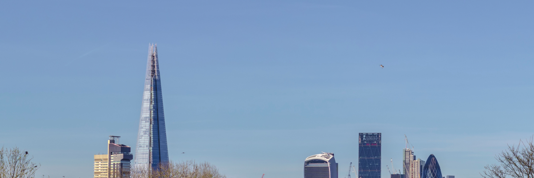 Adobe Stock 146856027