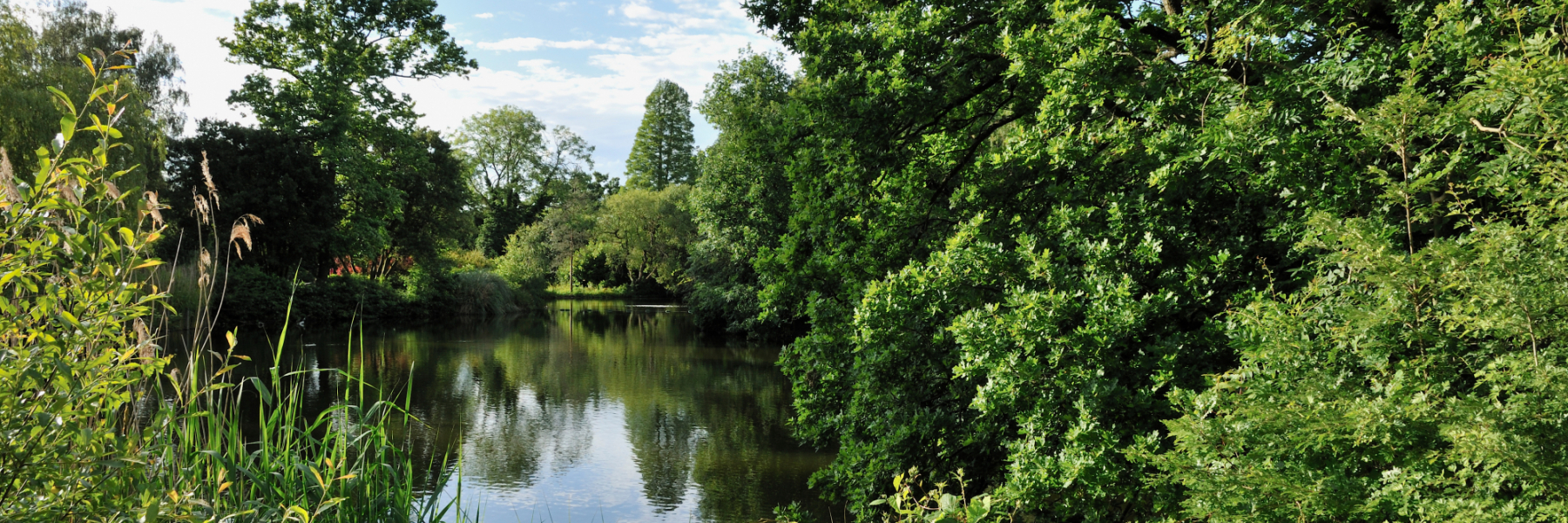 Adobe Stock 415218658