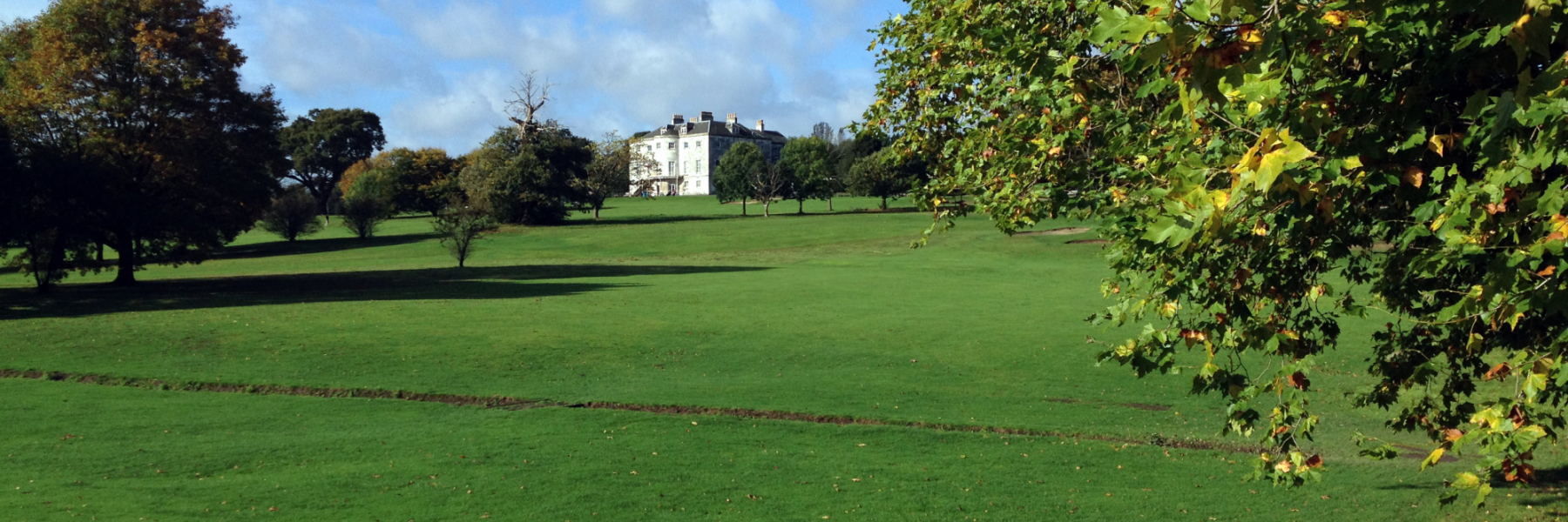 Adobe Stock 73290277