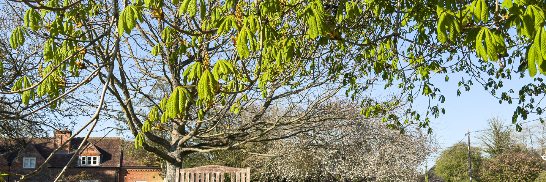 Burbage Sceene Shots 12