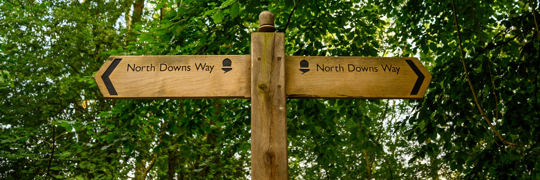 East Horsley Area Guide