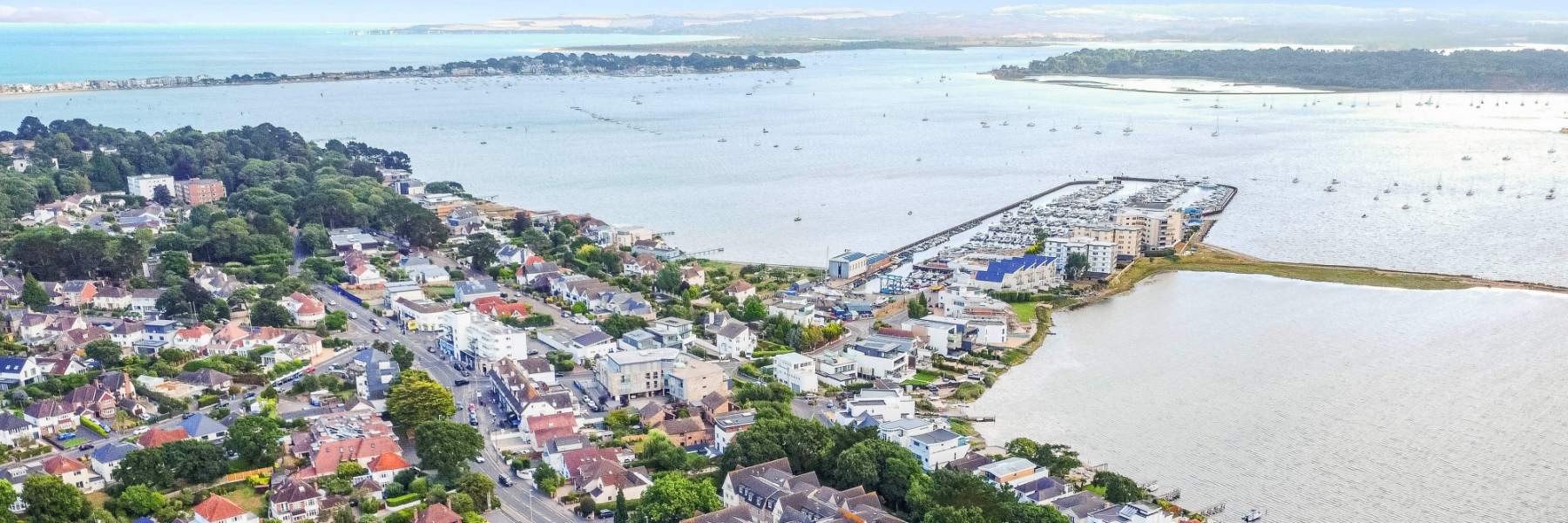 Lilliput Area Guide Fine & Country