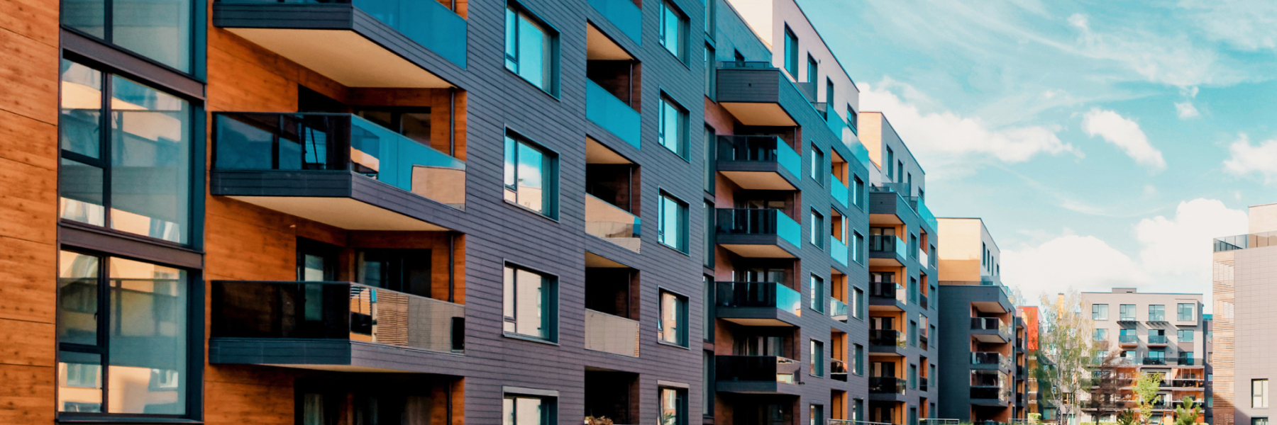 Lettings Service Fine Country