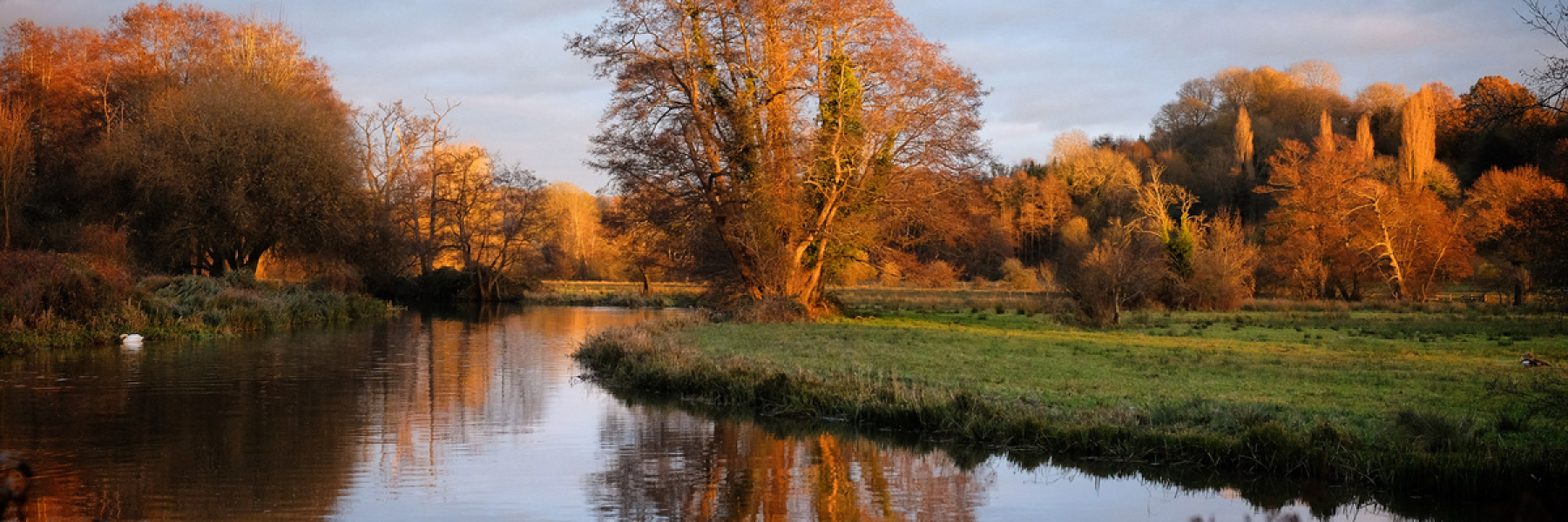 River Wey Godalming Surrey UK