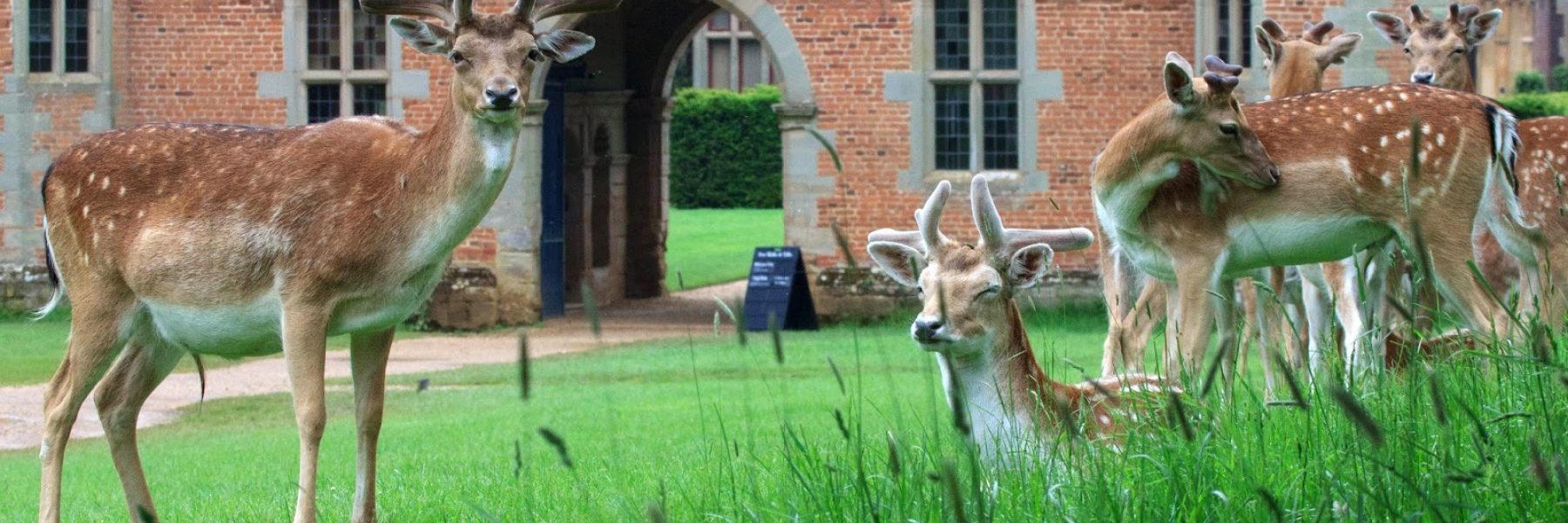 Wellesbourne Warwickshire