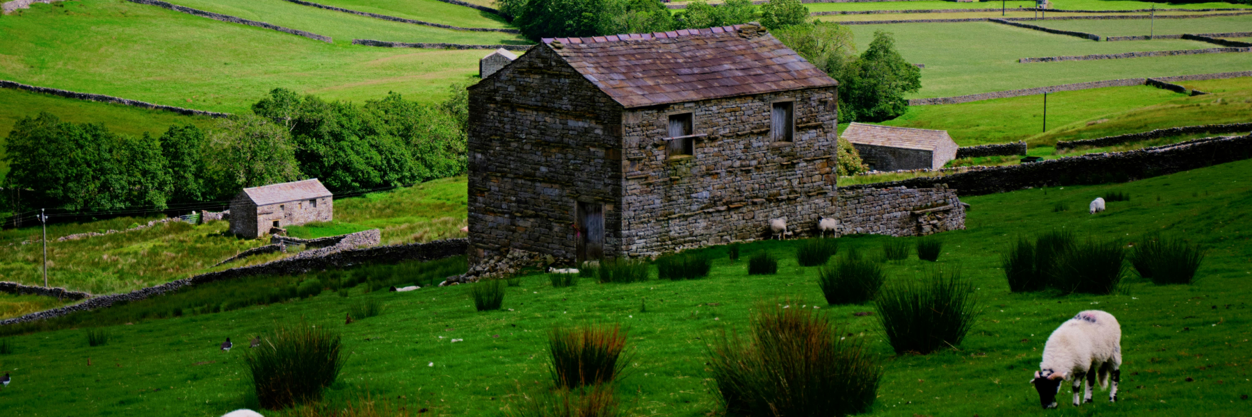 Luxury Rural & Farm Properties for Sale in the UK | Fine & Country