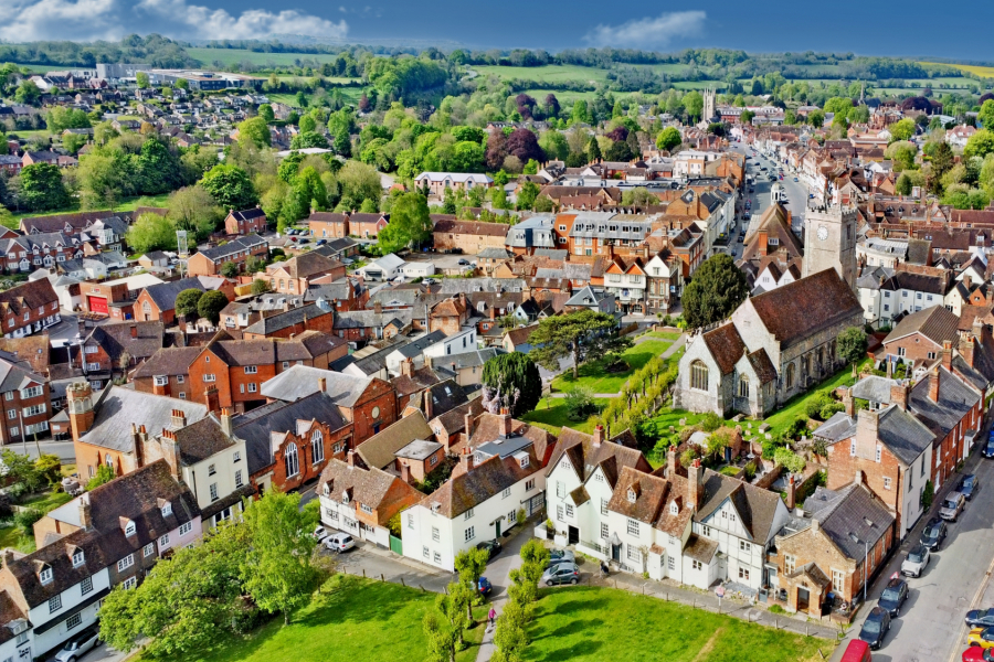 Marlborough Area Guide Fine & Country