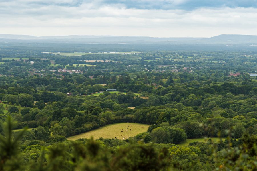 Cranleigh Area Guide | Fine &amp; Country