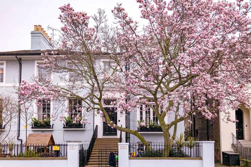 Why Spring is the perfect time to sell your property