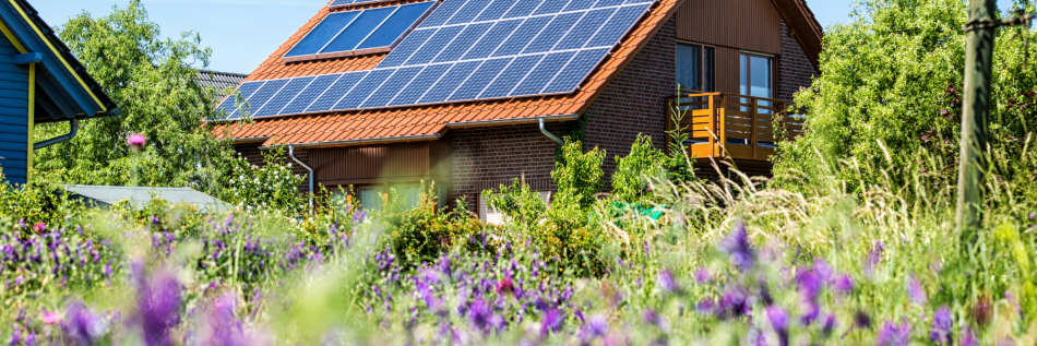 Ultimate Guide to Sustainable Living at Home