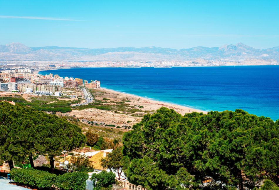 Costa Blanca South mini guide