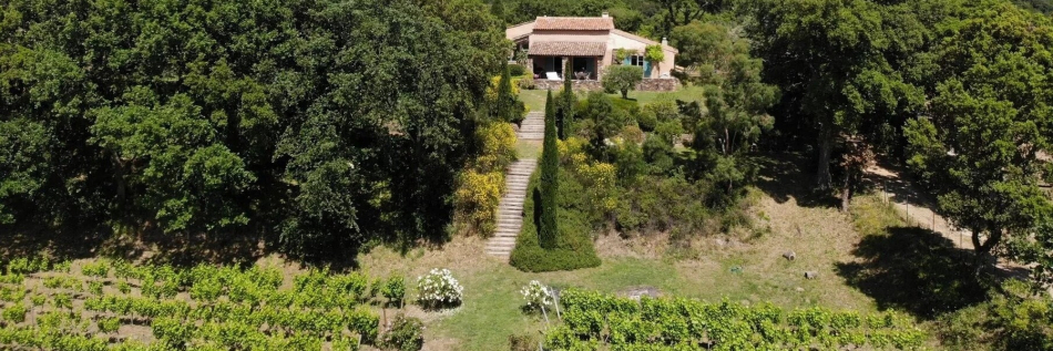 A wine lover’s dream: vineyards and wine cellars | Fine & Country - Private Gated Communities With Wine Cellars