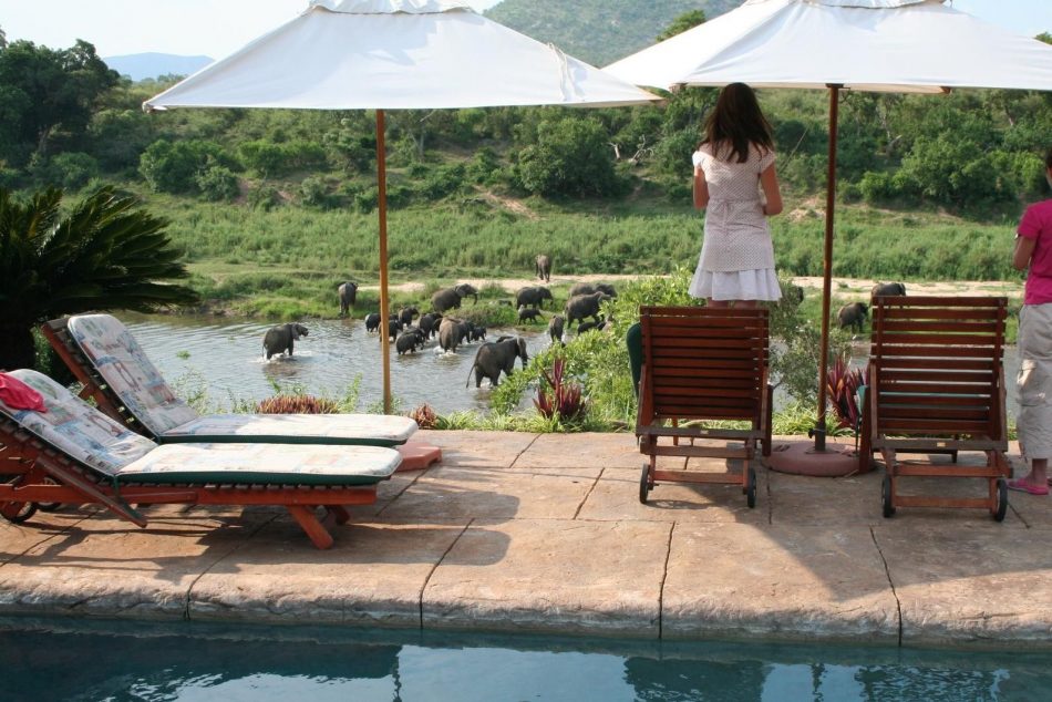 Call of the wild: Top 20 nature homes