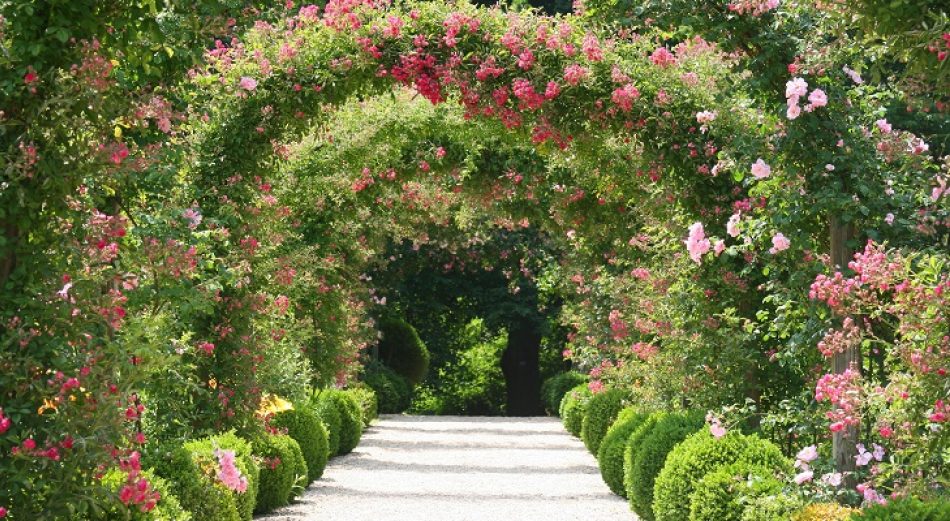The Great Fine & Country Garden Competition