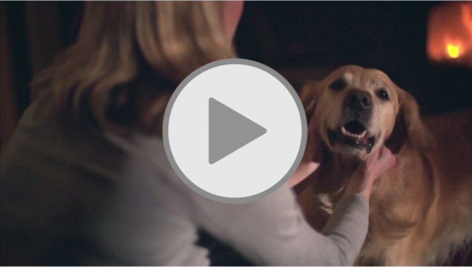 Lights, cameras, action: the new Fine & Country TV advert is here