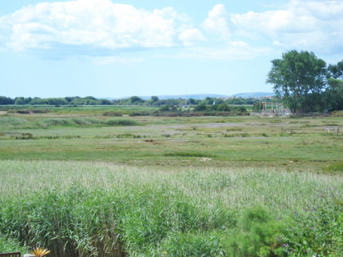 Stanpit Marsh
