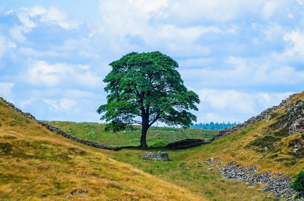 Hadrians Wall